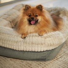 Honey Possum Pet Bed